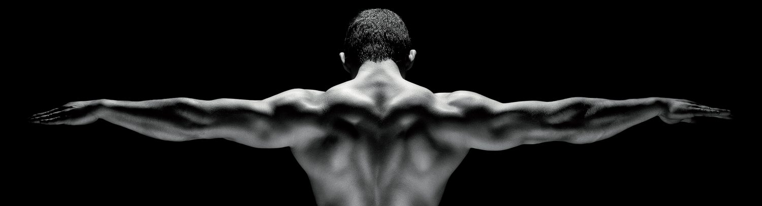 Rückenzentrum Dresden